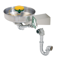 Axion&reg; Eye/Face Wash Station, Wall-Mount Installation, Stainless Steel Bowl EastCoast Offshore Supplies
