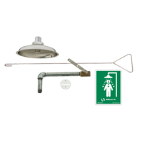 Drench Shower, Ceiling-Mount EastCoast Offshore Supplies