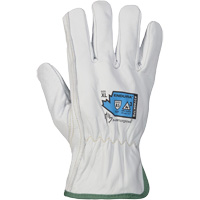 Gants r&eacute;sistant &agrave; la coupure et &agrave; l'arc &eacute;lectrique Endura, T-petit, 10" lo, 36 cal/cm², Niveau 3, NFPA 70E EastCoast Offshore Supplies