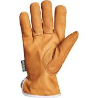 Gants de conducteur Endura, Petit, Paume en Cuir fleur de ch&egrave;vre, Thinsulate EastCoast Offshore Supplies
