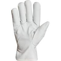 Gants de conducteur doubl&eacute;s pour l'hiver Endura, T-Grand, Paume en Cuir fleur de ch&egrave;vre, Thinsulate EastCoast Offshore Supplies