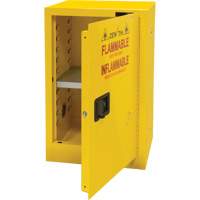 Flammable Storage Cabinet, 12 gal., 1 Door, 23" W x 35" H x 18" D EastCoast Offshore Supplies