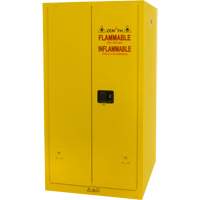 Armoire pour produits inflammables, 60 gal., 2 Porte(s), 34" La x 65" h x 34" p EastCoast Offshore Supplies