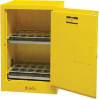 Flammable Aerosol Storage Cabinet, 12 gal., 1 Door, 23" W x 35" H x 18" D EastCoast Offshore Supplies