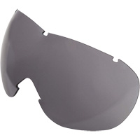 Lentille de rechange pour les lunettes de s&eacute;curit&eacute; &agrave; coques Uvex Sub-Zero, Antibu&eacute;e/anti-&eacute;gratignures, Gris, Uvex Sub-Zero EastCoast Offshore Supplies