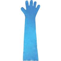 Disposable Gloves, Polyethylene, Powder-Free, Blue EastCoast Offshore Supplies