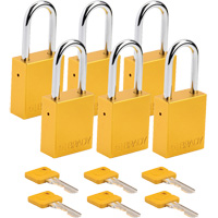 Cadenas de s&eacute;curit&eacute;, Cadenas de s&eacute;curit&eacute;, Cl&eacute;s diff&eacute;rentes, Aluminium, Largeur de 1-1/2" EastCoast Offshore Supplies