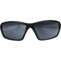 Lunettes de s&eacute;curit&eacute; Robson avec joint, Lentille Miroir argent&eacute;, Anti-&eacute;gratignures/Polaris&eacute;, ANSI Z87+/MCEPS GL-PD 10-12/R&eacute;pond ou surpasse la norme CSA Z94.3 EastCoast Offshore Supplies