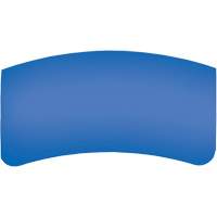 Lentille ext&eacute;rieure Bullard GenVX PETG EastCoast Offshore Supplies