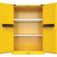 Utili-Guard+ Flammable Safety Cabinet, 45 gal., 2 Door, 43" W x 65" H x 22" D EastCoast Offshore Supplies
