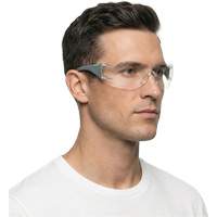 Adapt Lite Grey/Green Safety Glasses, Clear Lens, Anti-Fog/Anti-Scratch, ANSI Z87+/Meets/Exceeds CSA Z94.3 EastCoast Offshore Supplies