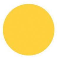 Round Write-On Labels, Circle, 1.5" L x 1.5" W, Yellow EastCoast Offshore Supplies
