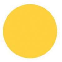 Round Write-On Labels, Circle, 3" L x 3" W, Yellow EastCoast Offshore Supplies