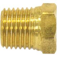 Pipe Plug (Hex Head), 1/2" Dia., Brass EastCoast Offshore Supplies