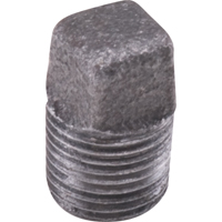 Plug Square Head Cored EastCoast Offshore Supplies