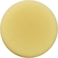 Polishing Pad, 3" Dia. EastCoast Offshore Supplies