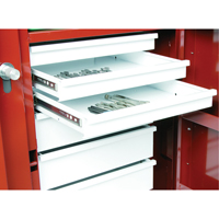 &eacute;tabli roulant, 49-7/8" la x 40-5/8" h x 26-7/8" p, Capacit&eacute; de 24,6 pi³ EastCoast Offshore Supplies