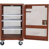 Mobile Mesh Cabinet, Steel, 22 Cubic Feet, Red EastCoast Offshore Supplies