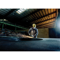 Meuleuse &agrave; angle, 7", 120 V, 8450 Tr/min EastCoast Offshore Supplies