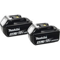 Batteries, Lithium-Ion, 18 V, 5.0 A EastCoast Offshore Supplies