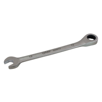 Combination Fixed Head Ratcheting Wrench, 12 Point, 8 mm, Stainless Steel Finish EastCoast Offshore Supplies