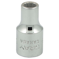 Socket, 3/16", 1/4" Drive, 12 Points EastCoast Offshore Supplies