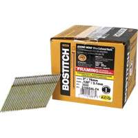 28° Angled Framing Nails EastCoast Offshore Supplies