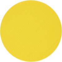 Non-Vacuum Backing Pad EastCoast Offshore Supplies