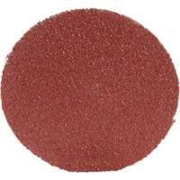 Disque 361F Roloc, 1-1/2" dia., Grain P100, Oxyde d'aluminium EastCoast Offshore Supplies