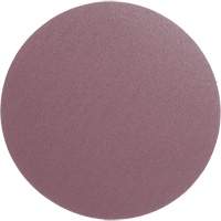 PSA Cloth Disc 348D, 12" Dia., 60 Grit, Aluminum Oxide, X-Weight EastCoast Offshore Supplies