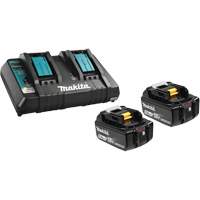 Li-Ion Battery & Dual-Port Charger Kit, 18 V, Lithium-Ion EastCoast Offshore Supplies
