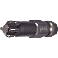 ACR&reg; Power Bit, Phillips, #3 Tip, 1/4" Drive Size, 2" Length EastCoast Offshore Supplies