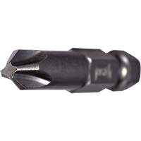 Power Bit, Phillips, #2 Tip, 1/4" Drive Size, 2-3/4" Length EastCoast Offshore Supplies