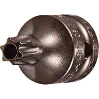 Embout &agrave; ins&eacute;rer, Torx inviolable, 8 x 3/4" lo, Prise 1/4" EastCoast Offshore Supplies