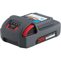 IQV20 Series Battery, Lithium-Ion, 20 V, 2.5 Ah EastCoast Offshore Supplies