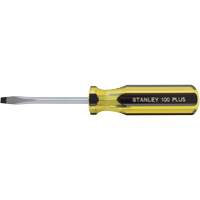 Tournevis pour &eacute;crous &agrave; fente 100 PLUS, Tige de 3/16", Ronde, Prise en Plastique EastCoast Offshore Supplies