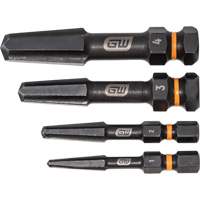 Bolt Biter Screw Extractor Set, High Speed Steel, 4 Pieces EastCoast Offshore Supplies