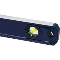 High-Accuracy Level, Box, 4' L, Aluminum, 3, Non-Magnetic EastCoast Offshore Supplies