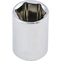 Regular Chrome Socket, 1/2", 3/8" Drive, 6 Points EastCoast Offshore Supplies