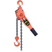 VLP Series Lever Chain Hoist, 10' Lift, 1653.46 lbs. (0.75 tons) Capacity EastCoast Offshore Supplies