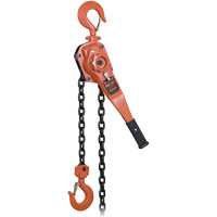 KLP-300L-5 KLP Series Heavy-Duty Lever Chain Hoist with Overload Protection, 5' Lift, 6000 lbs. (3 tons) Capacity EastCoast Offshore Supplies