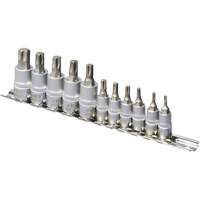 SS1438-11T Jeu de douilles chrom&eacute;es, Torx, Prise 1/4"/3/8", 10 mr EastCoast Offshore Supplies