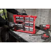 Organisateur PACKOUT &agrave; bac inclinable, 15-1/5" x 19-7/10" x 6-7/10", Noir/Rouge EastCoast Offshore Supplies