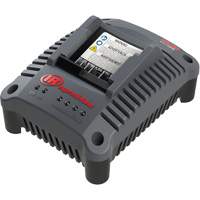 IQV20 Compact Battery Charger, 20 V, Lithium-Ion EastCoast Offshore Supplies