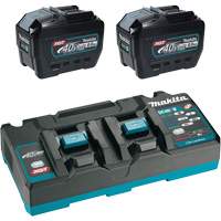 XGT Dual Port Rapid Charger Starter Kit with (2) 8 Ah Batteries, 40 V, Lithium-Ion EastCoast Offshore Supplies
