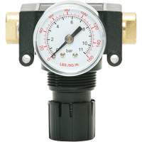 D&eacute;tendeur &agrave; piston en ac&eacute;tal MODULAIR 200, 1/4" NPT, PSI max. de 150 psi, Canalisation/Modulaire EastCoast Offshore Supplies