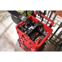PACKOUT Low-Profile Crate, 15" x 18-5/8" x 6-5/8", Black/Red EastCoast Offshore Supplies