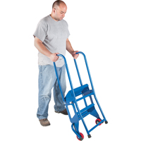 Portable Folding Ladder, 2 Steps, Perforated, 20" High EastCoast Offshore Supplies