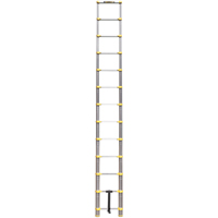 Telescopic Ladder, 3' - 12', Aluminum, 250 lbs. Capacity, Type 1 EastCoast Offshore Supplies