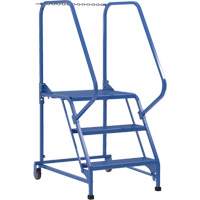 Maintenance Ladder, 3 Steps, 23-9/16" Step Width, 30" Platform Height, Steel EastCoast Offshore Supplies